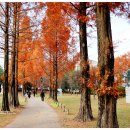 백재현 인류의초상 이미지