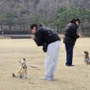 댕댕아 학교가자 이미지