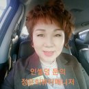 고은인셀덤