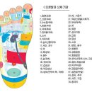 발건강마사지 이미지