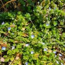 홍의인농장 이미지