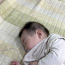 남은 5월 일상 그리고 여수여행