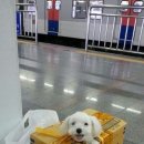 헐 이미지