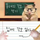 (주)쌤스토리 | 1월 마지막주