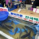 자매횟집 이미지