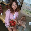 주희농장 이미지