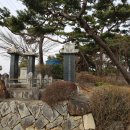 학성군 김완장군 영당 티스토리