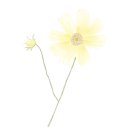 도그마루 강아지고양이 의정부노원점 이미지