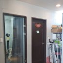 강아지를 미용하는 여자 이미지