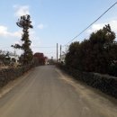 일과리-2 이미지