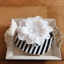 신혜약국 이미지