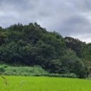 누교리 경로당 이미지