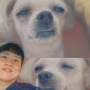 어반클래식 이미지