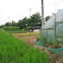 사선농장 이미지