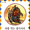 불가사리 이미지