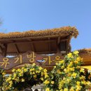 산기슭목장 | 충남 여행 | 봄나들이 갈만한 곳 | 서산 유기방가옥 수선화 개화 상황 &amp; 주차 팁 | 100년 고택과 수선화...