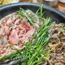 금당 우리집 오리 이미지