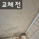 신길공원 화장실 | 화장실돔천장 교체 설치 보수 업체