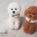 니들펠트 이미지