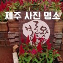 효수재 | 보롬왓 표선 가볼만한 곳
