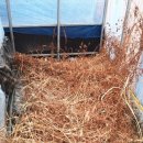 학선보건진료소 이미지