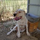 김종욱농장 이미지