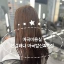 원지카클리닉 2호점 | 마곡미용실 은결하다 마곡발산2호점에서 클리닉 받고 온 후기(by 설아 디자이너)