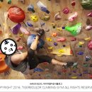 타이거볼더클라이밍짐 이미지