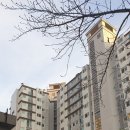 창조부동산중개사무소 네이버블로그