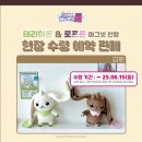 홍대 디지몬전 &amp; 신촌 팝퍼블 달빛천사 콜라보카페 후기!