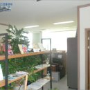 전주송림유치원 이미지