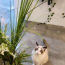 방배로19길 40 | 서초두피관리 프라이드비 시그니처 두피스파 후기🐰💕단골각..