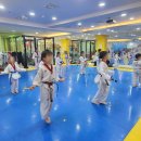 비타민태권도 이미지