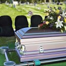 중앙장의사 이미지