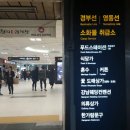 이리꽃도매