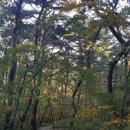 복드림공인중개사사무소 이미지