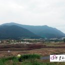 김종현 농장 이미지