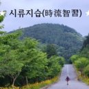 시류