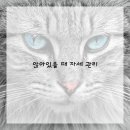 바른몸사랑