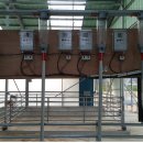 수동축산 이미지