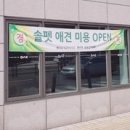 솔펫 애견미용놀이터 네이버블로그