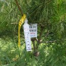 비산 정상 이미지