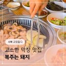 복주는돼지 이미지