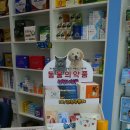 마곡새봄약국 이미지