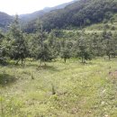 연풍면사무소 이미지