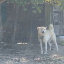 성옥농장 이미지