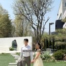 아이웨딩_하남 섬스튜디오 촬영후기 (토탈샵, 배경중심) 배경, 컨셉, 시안