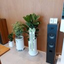 남사읍 | 처인구·남사읍 개업화분 후기 │ 멀리 있어도 따뜻하게 전해지는 축하의 마음