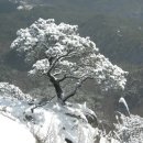 12.26가야산행흔적^^ 이미지