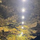 밥을짓다 | 팔공산 밥을짓다 솔직후기